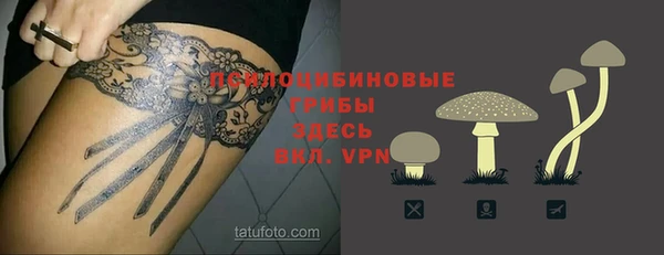 круглые Алексеевка