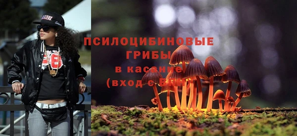 крисы Абинск