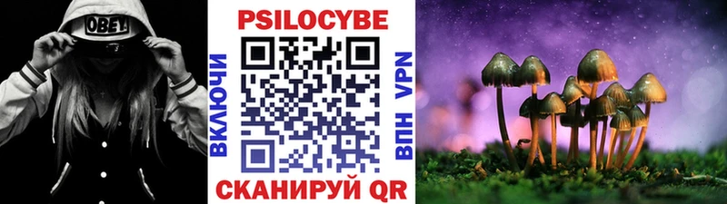 Галлюциногенные грибы Cubensis  где купить   Карпинск 